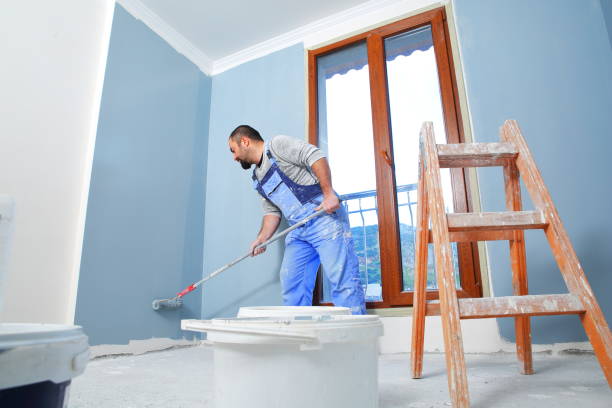  Bloomingdale, IL Mold Removal Pros