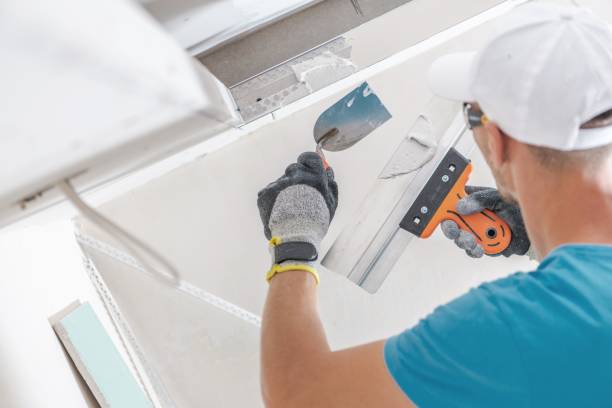 Best Post-Construction Mold Inspection  in Bloomingdale, IL